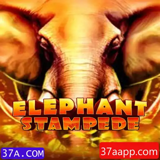 Descobrindo o Universo Emocionante de ElephantStampede